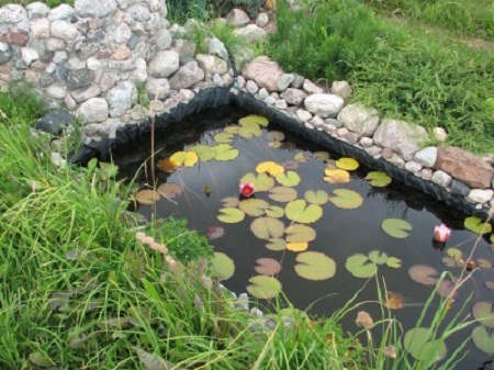 Стара ванна, декорування та вибір рослин сприятливих для зростання в ставку і навколо нього