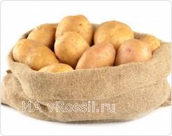 Таким чином, картопля Каратоп завоював популярність завдяки ранньому і багатому врожаю