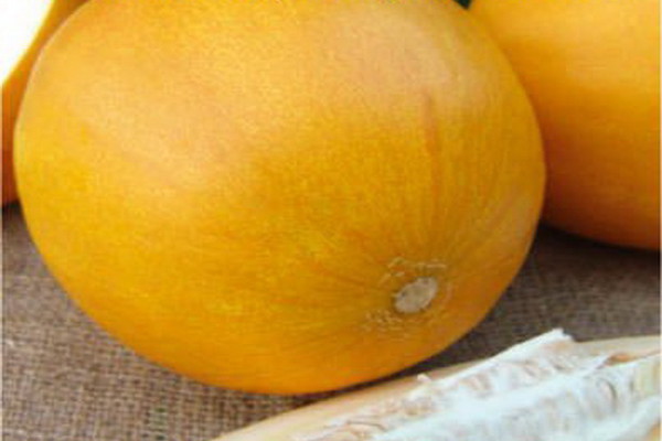 Плоди мають овальну форму і жовте забарвлення, а їх маса коливається в межах від 0,5 до 1,2 кг;