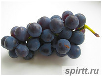виноградне   вино   ще з давніх часів вважали корисним засобом, оскільки воно володіє профілактичними і цілющими властивостями від багатьох захворювань