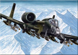 Так, штурмовики A-10 Thunderbolt II вже випробували суміші, що містять в собі біопаливо, і доповіли керівництву про успіх цих експериментів