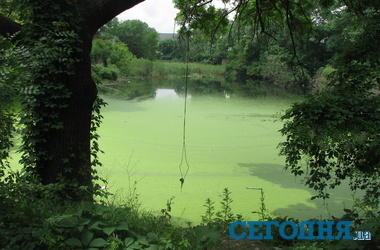 17 травня 2013, 08:08 Переглядів:   Еколог вважає, що в риба в ставку може бути небезпечною