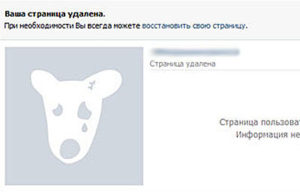 В соціальну мережу   ВКонтакте   щодня заходить понад 80 млн